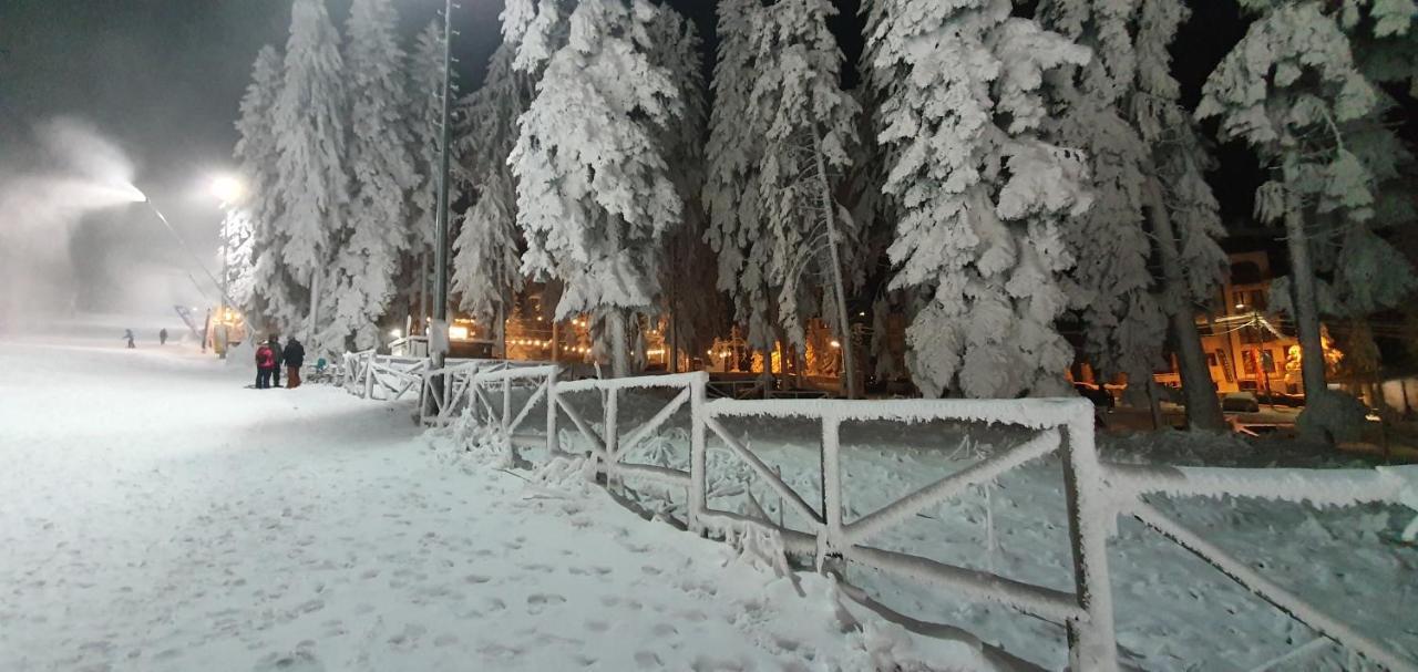 Fox Boutique Apartment Borovets Gardens Exteriör bild