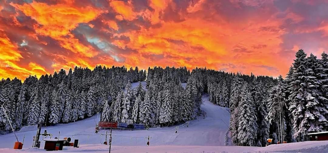 Fox Boutique Apartment Borovets Gardens Exteriör bild