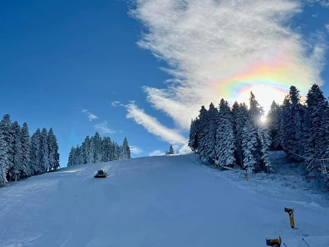 Fox Boutique Apartment Borovets Gardens Exteriör bild